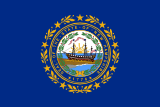 New Hampshire state flag
